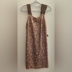 BCBG Maxazria Sparkle Sequence Dress